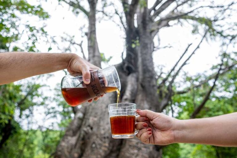 “Café No Parque” Oferece Degustação, Feirinha E Atividades Culturais No ...